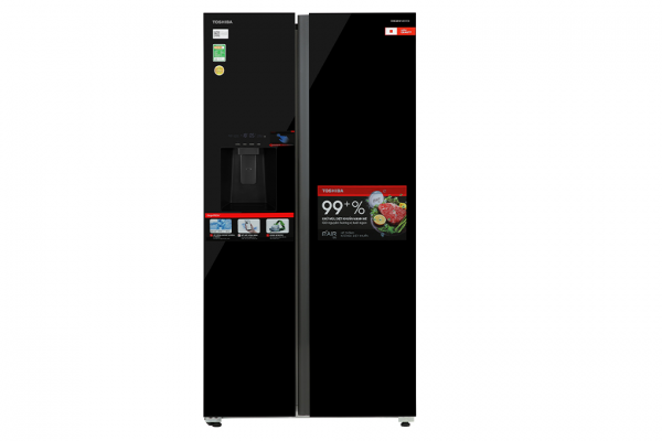 Tu Lanh Lg Inverter 264 Lit Gv D262bl51